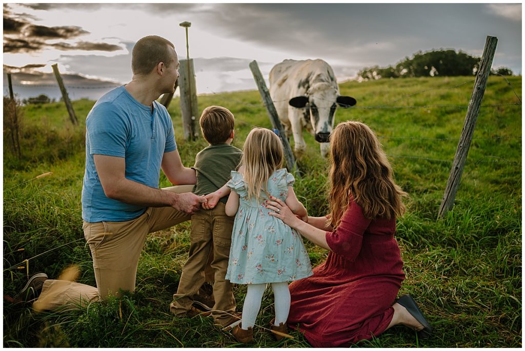 Family on a farm looking at a cow