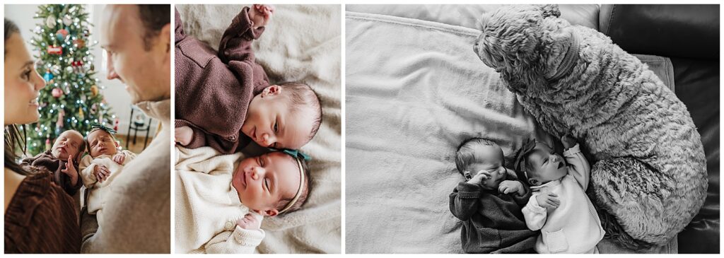 Twin newborn babies laying on a bed cuddled with their dog